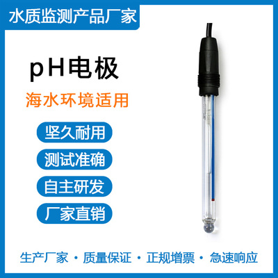 PH电极 海水环境适用