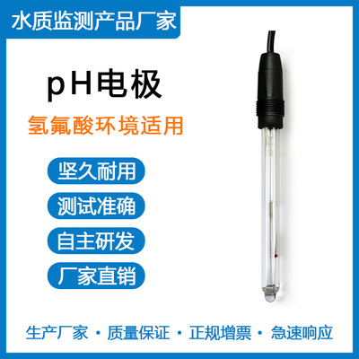 PH电极 &nbsp;氢氟酸环境适用
